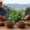 Direct Trade Versus Fairtrade Coffee Explained