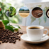 Coffee Traceability: What Your Cup Can Tell You