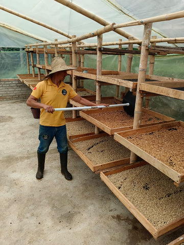 RESERVED. Q-Grade 85.25. Certified Organic