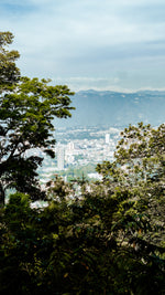 TRANSCENDENCE. Q-Grade 85.5