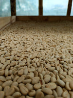 RESERVED. Q-Grade 85.25. Certified Organic