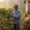 Coffee farmer inspecting morning harvest