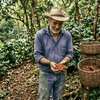 Coffee farmer showing eco-friendly cultivation