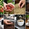 A Coffee Quality Control Example, From Bean to Cup