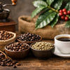 How to Choose the Best Single Origin Coffee Beans