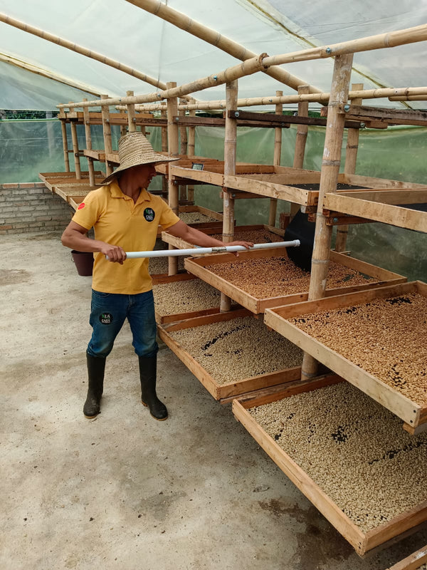 Renewal. Q-Grade 86.5. Certified Organic