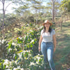 Aura — Cajibío, Cauca