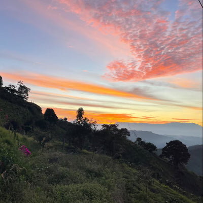 Bliss — Santa Rosa de Cabal, Risaralda