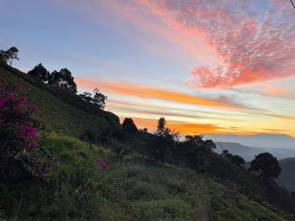 Bliss — Santa Rosa de Cabal, Risaralda