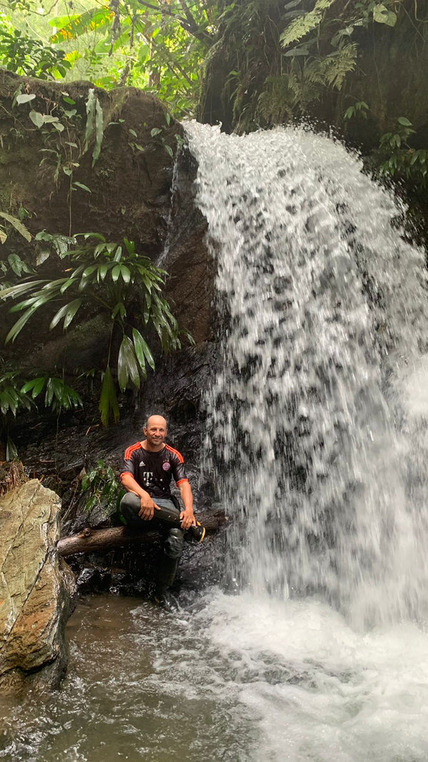 Indulgence. Q-Grade 88